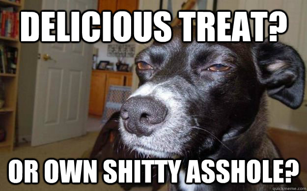 delicious treat? or own shitty asshole?  Skeptical Mutt