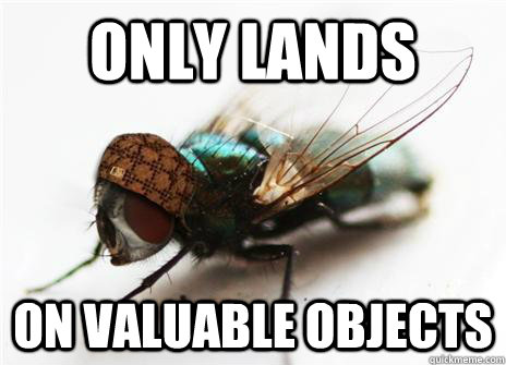 Only lands on valuable objects - Only lands on valuable objects  Scumbag Fly