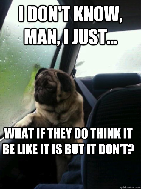 I don't know, man, I just... What if they do think it be like it is but it don't?  Introspective Pug