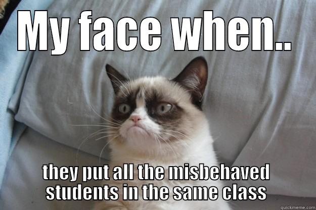 MY FACE WHEN.. THEY PUT ALL THE MISBEHAVED STUDENTS IN THE SAME CLASS Grumpy Cat