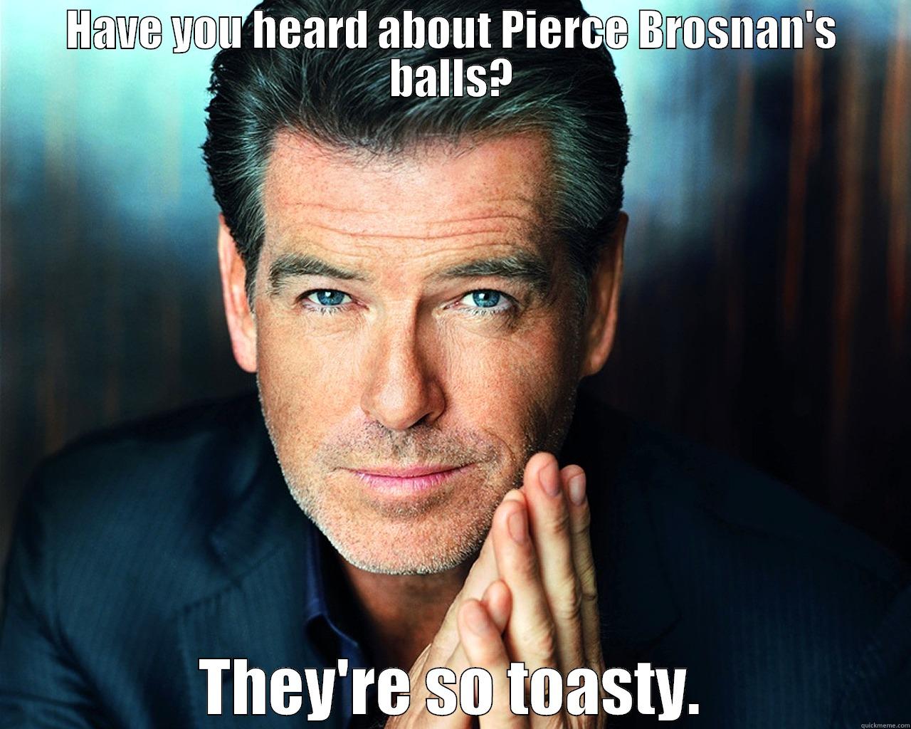 Pierce Brosnan's Balls - HAVE YOU HEARD ABOUT PIERCE BROSNAN'S BALLS? THEY'RE SO TOASTY. Misc