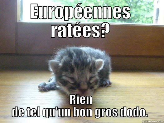 EUROPÉENNES RATÉES? RIEN DE TEL QU'UN BON GROS DODO.  Misc