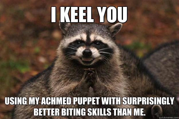 i keel you using my achmed puppet with surprisingly better biting skills than me. - i keel you using my achmed puppet with surprisingly better biting skills than me.  Evil Plotting Raccoon