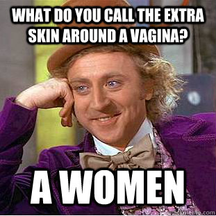 what do you call the extra skin around a vagina? a women  - what do you call the extra skin around a vagina? a women   Condescending Wonka