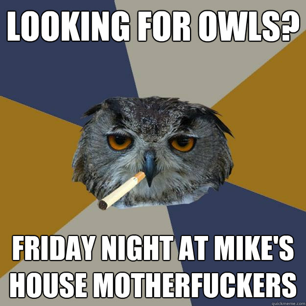 Looking For Owls? Friday Night at Mike's House Motherfuckers - Looking For Owls? Friday Night at Mike's House Motherfuckers  Art Student Owl