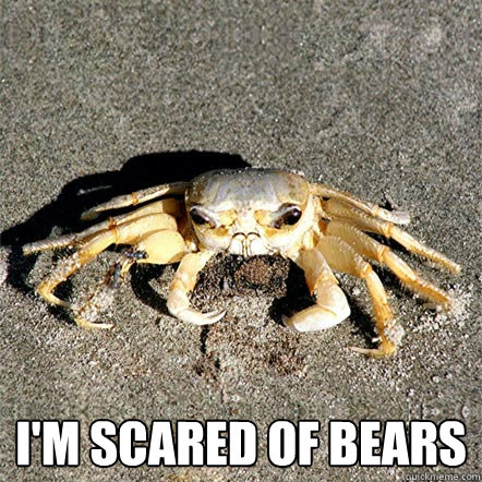  I'm scared of bears  Confession Crab