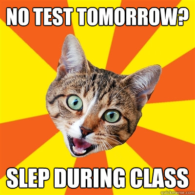 no test tomorrow? slep during class  Bad Advice Cat