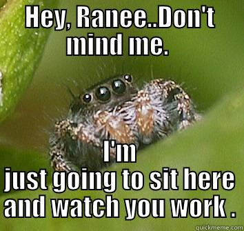 HEY, RANEE..DON'T MIND ME.  I'M JUST GOING TO SIT HERE AND WATCH YOU WORK . Misunderstood Spider