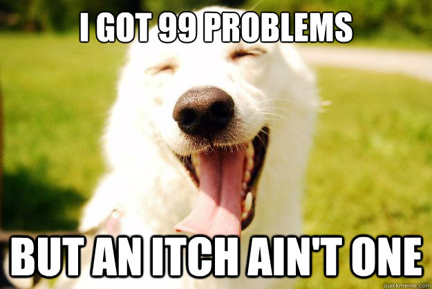 I got 99 problems but an itch ain't one - I got 99 problems but an itch ain't one  Happy dog