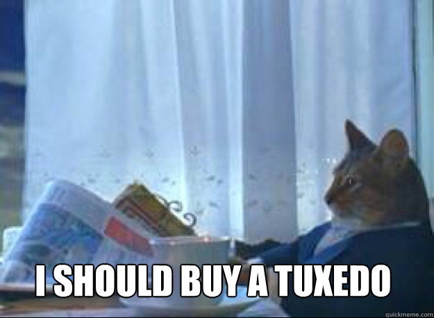 i should buy a tuxedo    I should buy a boat cat