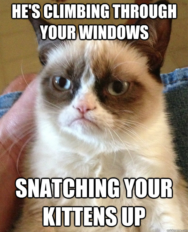 he's climbing through your windows snatching your kittens up  Grumpy Cat