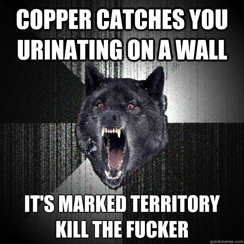 copper catches you urinating on a wall it's marked territory
kill the fucker  Insanity Wolf