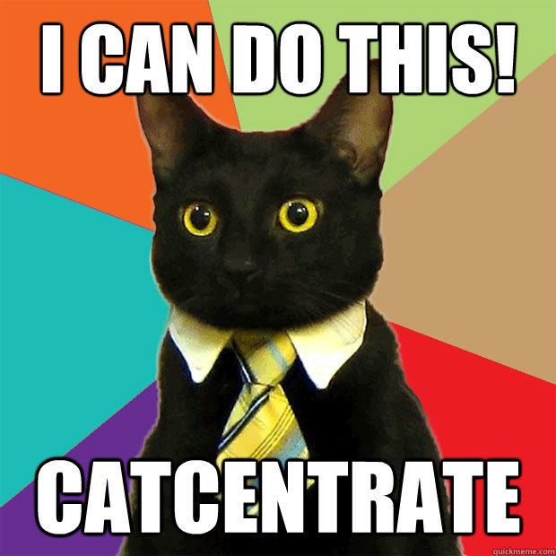 I can do this! catcentrate  Business Cat