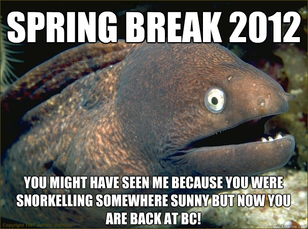 Spring Break 2012 you might have seen me because you were snorkelling somewhere sunny but now you are back at BC!  Bad Joke Eel