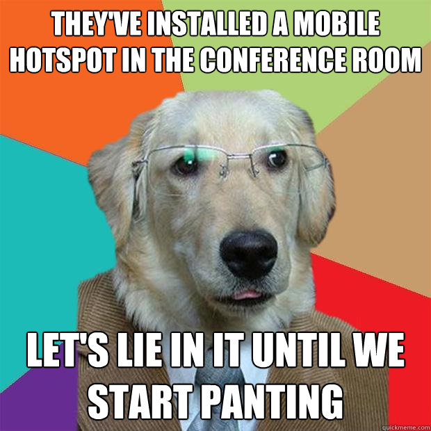 They've installed a mobile hotspot in the conference room let's lie in it until we start panting  Business Dog