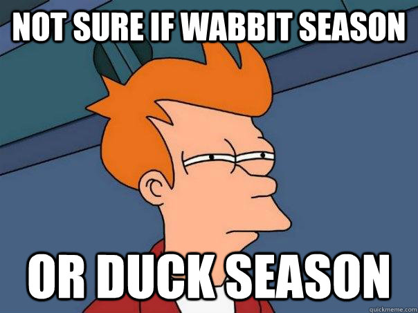 Not sure if wabbit season or duck season  Futurama Fry