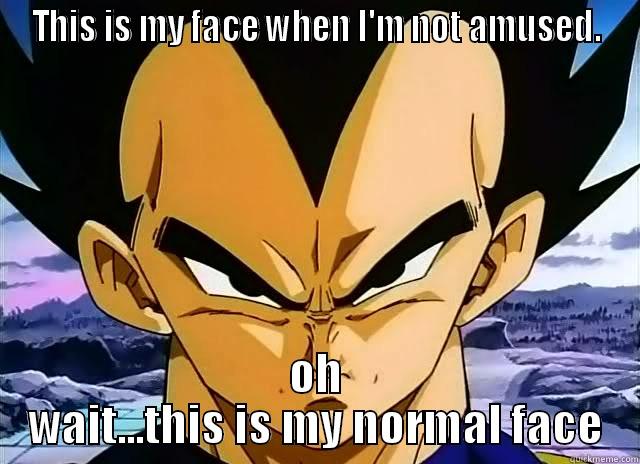 vegeta faces - THIS IS MY FACE WHEN I'M NOT AMUSED. OH WAIT...THIS IS MY NORMAL FACE Misc