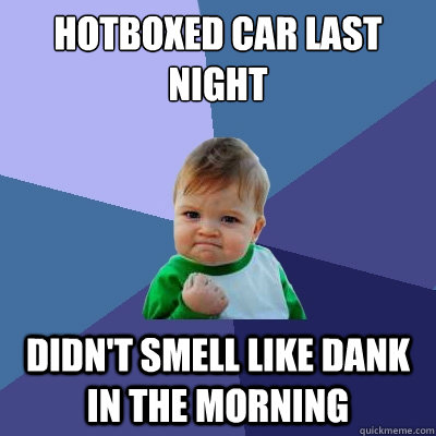 Hotboxed car last night didn't smell like dank in the morning  Success Kid