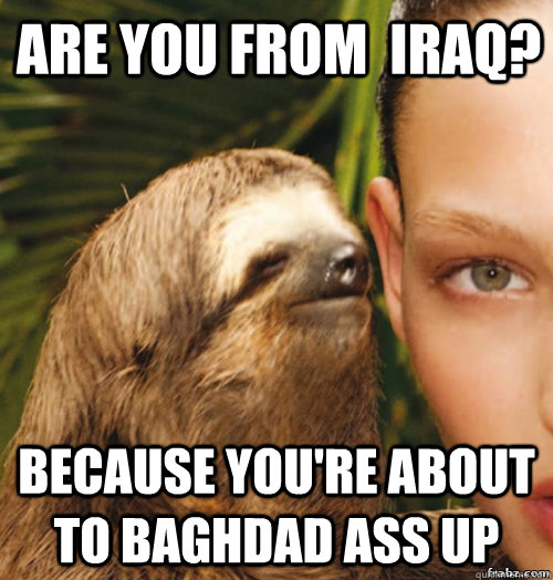 Are you from  iraq? Because you're about to baghdad ass up  rape sloth