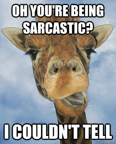 Oh You're Being Sarcastic? I couldn't tell  