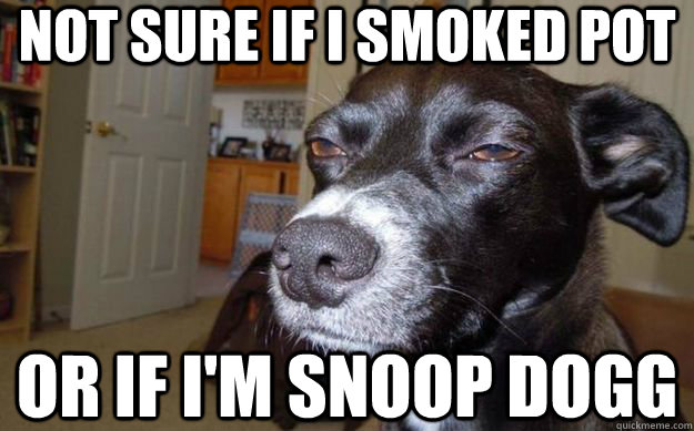 Not sure if I smoked pot or if I'm Snoop Dogg  