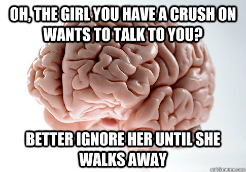 Oh, the girl you have a crush on wants to talk to you? Better ignore her until she walks away  Scumbag Brain