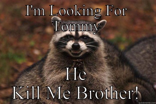 I'M LOOKING FOR TOMMY HE KILL ME BROTHER! Evil Plotting Raccoon