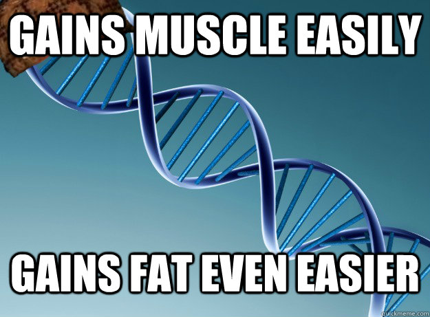 Gains muscle easily gains fat even easier  Scumbag Genetics