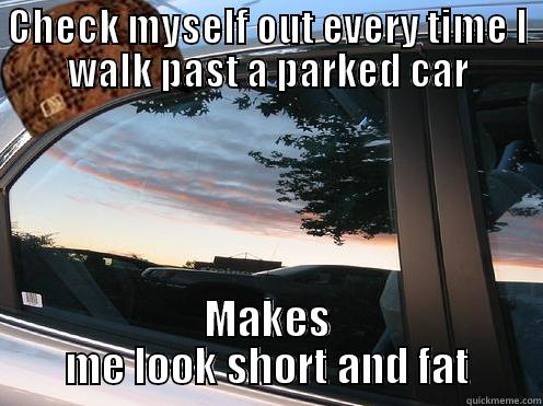 Scumbag Car Window - CHECK MYSELF OUT EVERY TIME I WALK PAST A PARKED CAR MAKES ME LOOK SHORT AND FAT Misc