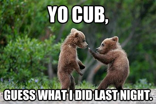 YO CUB, Guess what I did last night. - YO CUB, Guess what I did last night.  Fraternity Bear