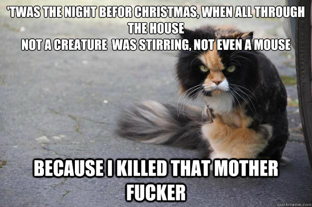 'twas the night befor christmas, when all through the house
not a creature  was stirring, not even a mouse Because i killed that mother fucker  Angry Cat