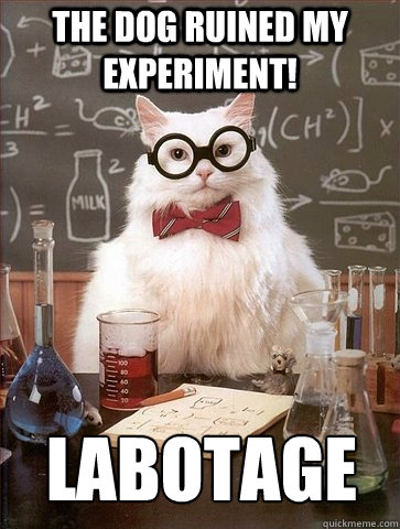 The dog ruined my experiment! labotage - The dog ruined my experiment! labotage  Chemistry Cat