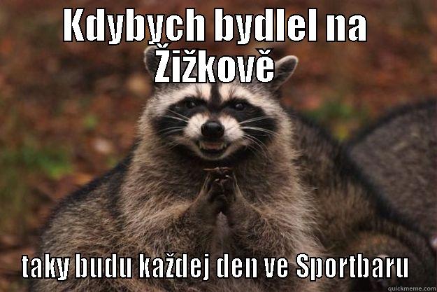 KDYBYCH BYDLEL NA ŽIŽKOVĚ TAKY BUDU KAŽDEJ DEN VE SPORTBARU Evil Plotting Raccoon