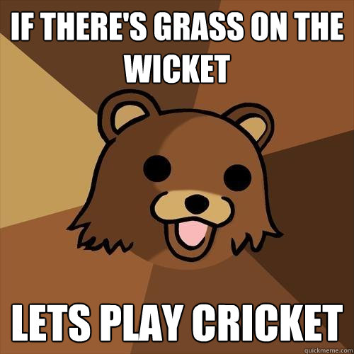 If there's grass on the wicket lets play cricket  Pedobear