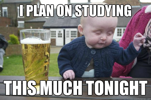 I plan on studying  this much tonight  drunk baby