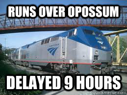 runs over opossum  delayed 9 hours  Scumbag Amtrak