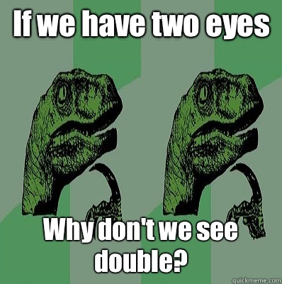 If we have two eyes Why don't we see double?  Meme