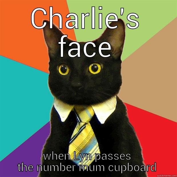 CHARLIE'S FACE WHEN LYN PASSES THE NUMBER MUM CUPBOARD Business Cat