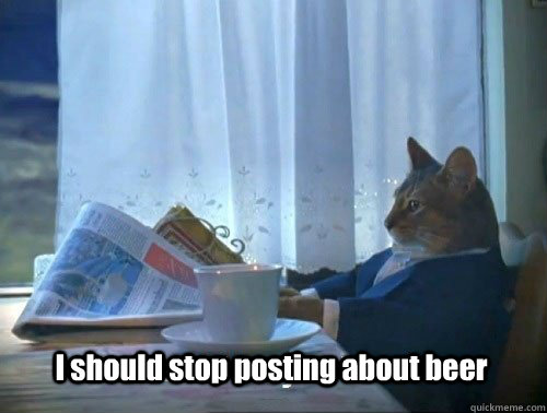 I should stop posting about beer - I should stop posting about beer  Fancy Cat