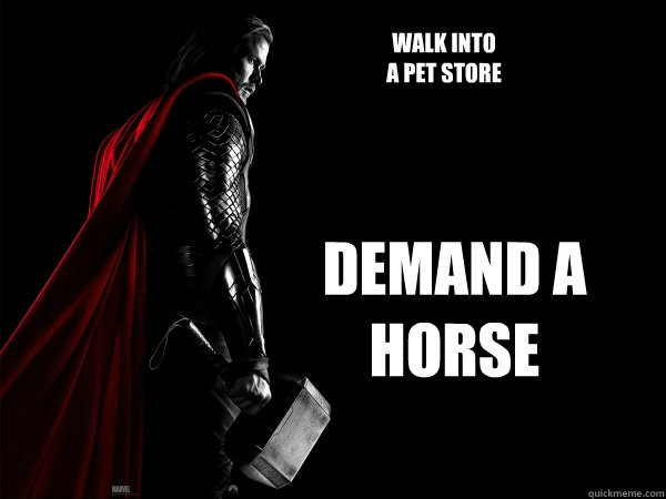 walk into 
a pet store demand a
horse  Thor