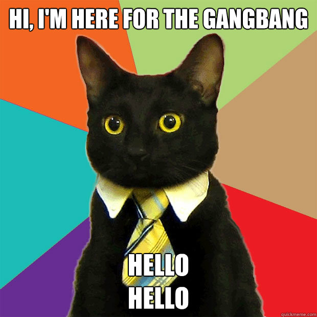 Hi, i'm here for the gangbang HELLO
HELLO  Business Cat