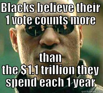 BLACKS BELIEVE THEIR 1 VOTE COUNTS MORE THAN THE $1.1 TRILLION THEY SPEND EACH 1 YEAR Matrix Morpheus