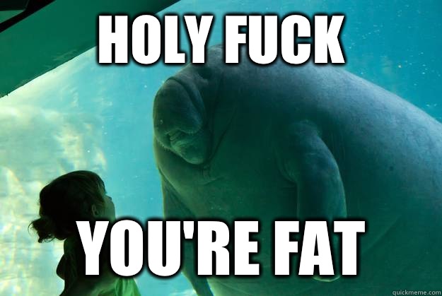 Holy fuck You're fat - Holy fuck You're fat  Overlord Manatee