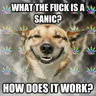 What the fuck is a sanic? How does it work?  Stoner Dog