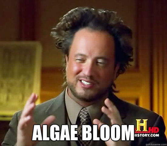  Algae Bloom -  Algae Bloom  Ancient Aliens