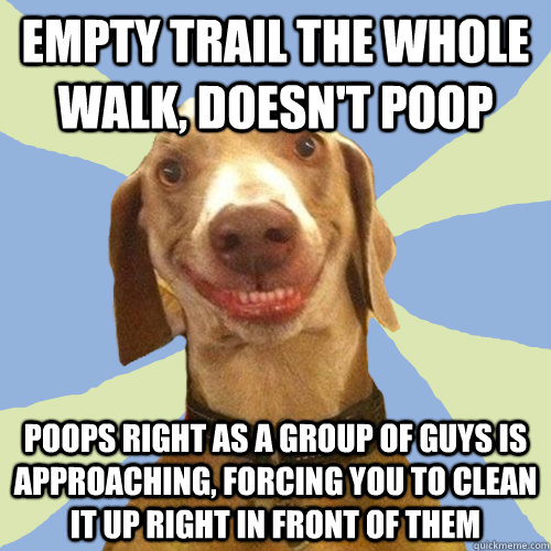 Empty trail the whole walk, doesn't poop poops right as a group of guys is approaching, forcing you to clean it up right in front of them  Disgusting Doggy