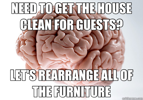 NEED TO GET THE HOUSE CLEAN FOR GUESTS? LET'S REARRANGE ALL OF THE FURNITURE - NEED TO GET THE HOUSE CLEAN FOR GUESTS? LET'S REARRANGE ALL OF THE FURNITURE  Scumbag Brain