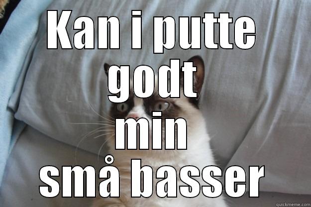 KAN I PUTTE GODT MIN SMÅ BASSER Grumpy Cat