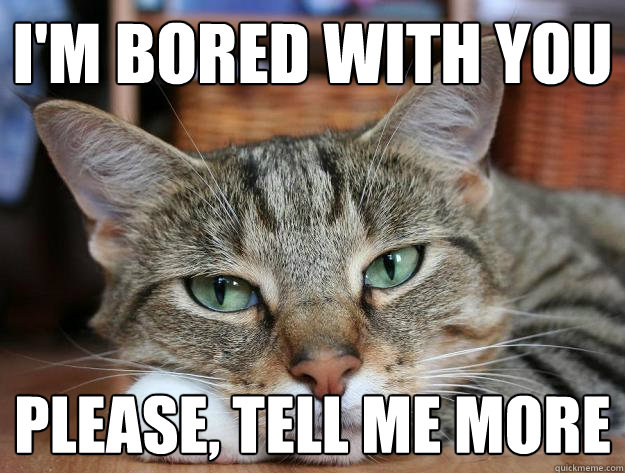 I'm bored with you please, tell me more - I'm bored with you please, tell me more  Bored cat