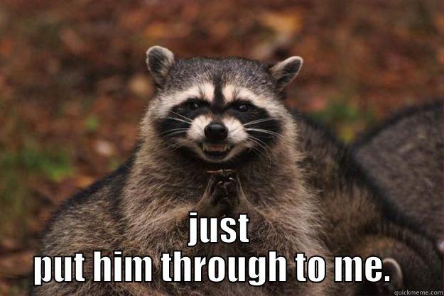  JUST PUT HIM THROUGH TO ME.   Evil Plotting Raccoon